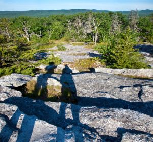 27  CN134-Shadows-on-summit-of-Bog-Mountain.jpg